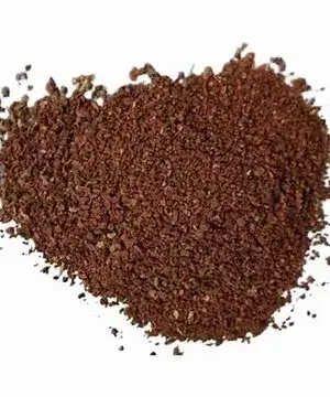 CHANGA XANGA AYA MIX Authentic