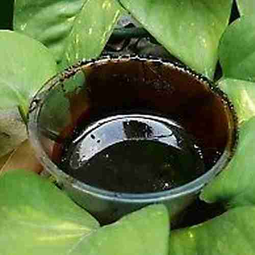 Ayahuasca Banisteriopsis Caapi Cielo - Original Chacruna, Chaliponga , Harmala, Mimosa (in Pasta) Ayahuasca