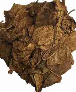 Mapacho-Foglie-nicotiana-rustica