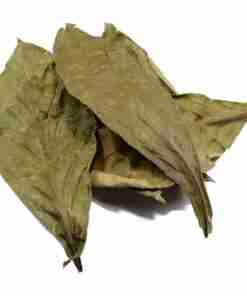 Chacruna