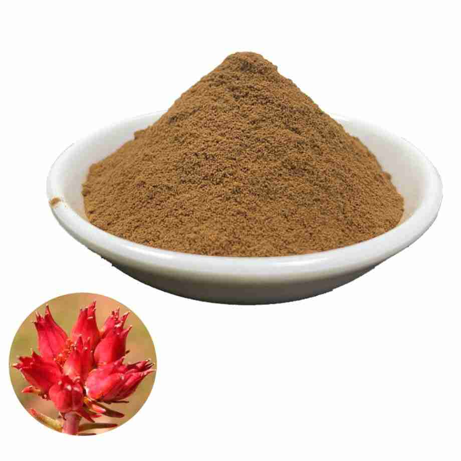 Radice d'oro di Rodiola Rhodiola Rosea Siberiana Essiccata - Polvere rhodiola rodiola rosea powder