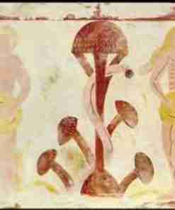 Amanita Muscaria Essiccata Cerimona e Microdosing Amanita-Muscaria-adamo-eva-croce