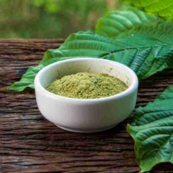 Kratom Maeng Da Green Mitragyna Speciosa Kratom-Green-Maeng-Da-Mitragyna-Speciosa-2