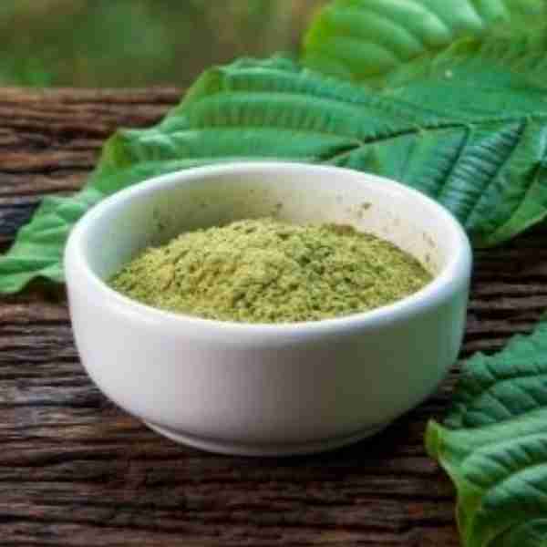 Kratom Maeng Da Green Mitragyna Speciosa Kratom Maeng Da White