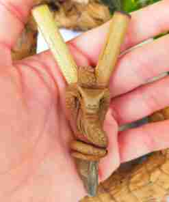 Kuripe Bambu Totem COBRA Amuleto con Pietre potenti Kuripe Totem COBRA Amuleto con Pietre potenti