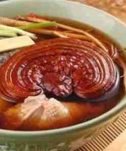 Reishi Ling Zhi (Ganoderma Lucidum) Rosso 100% BIO - Intero Essiccato ganoderma Lucidu reishi Ling Zhi(4)