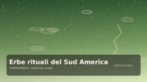 Erbe rituali del Sud America: perché origine, forma e selezione cambiano il valore