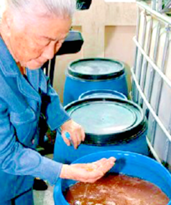 Fermentati Fervida - Arance Sicilia - Microrganismi Effettivi 10 anni Fermentati Fervida - Arance Sicilia - Microrganismi Effettivi 10 anni - immagine 3