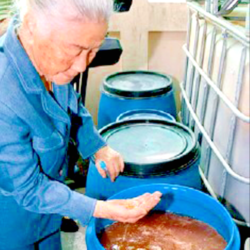 Fermentati Fervida - Arance Sicilia - Microrganismi Effettivi 10 anni Fermentati Fervida - Arance Sicilia - Microrganismi Effettivi 10 anni - immagine 3