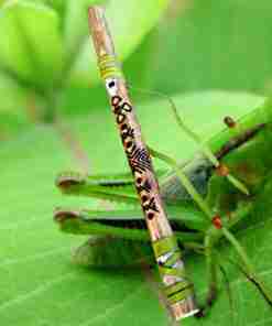 Flauto Siyotanka Grasshopper Con Custodia to-Siyotanka-Grasshopper