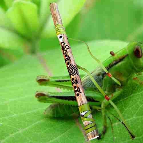 Flauto Siyotanka Grasshopper Con Custodia to-Siyotanka-Grasshopper