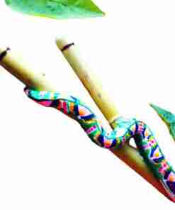 Kuripe Grande Serpente - Mixcolor Primordiale in Bamboo - immagine 4