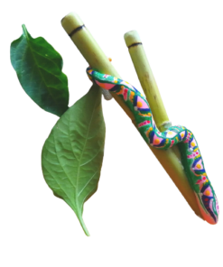 Kuripe Grande Serpente - Mixcolor Primordiale in Bamboo - immagine 10
